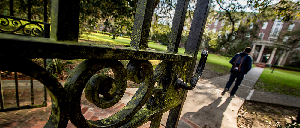 close up of gate