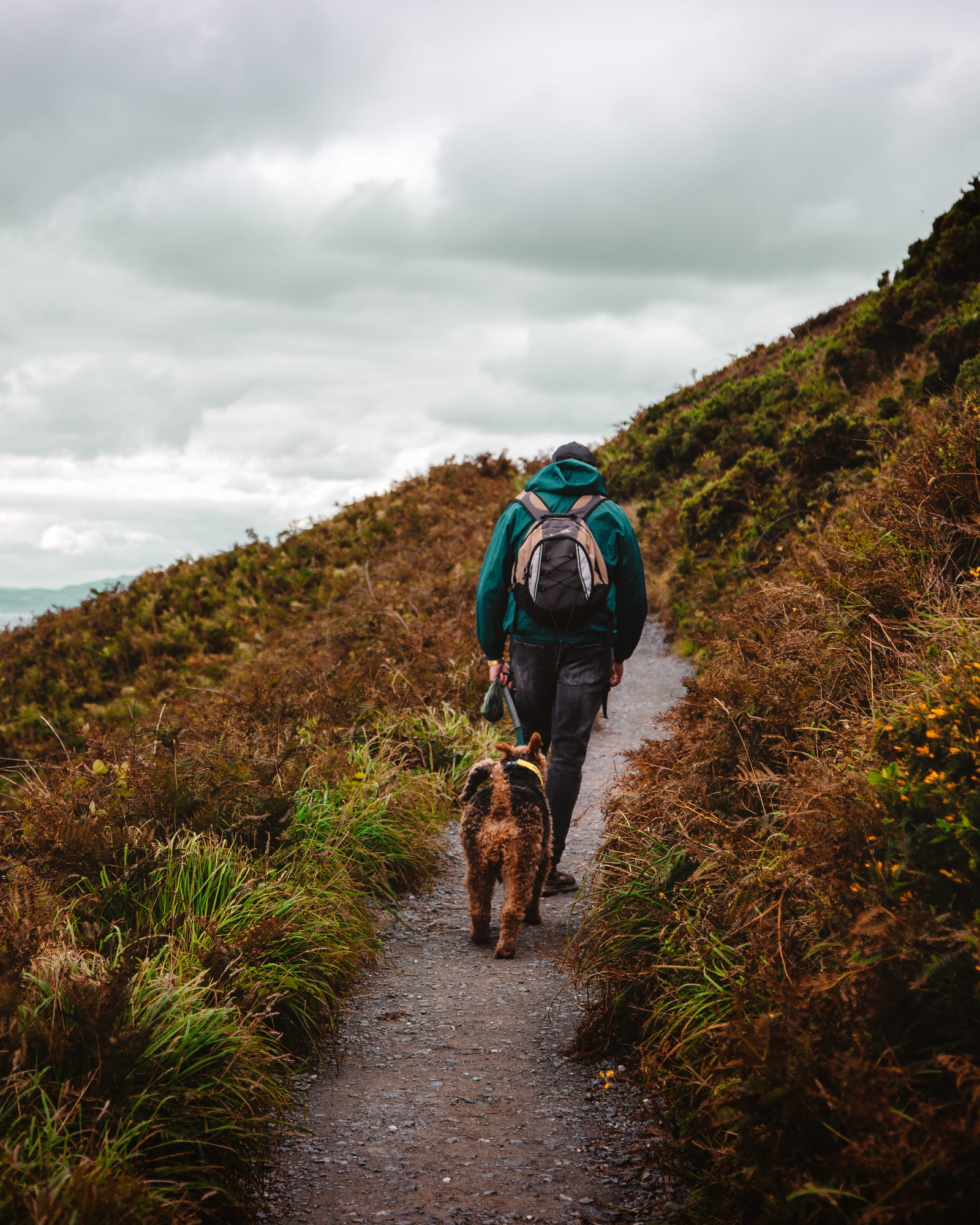 A hiker walking with a dog