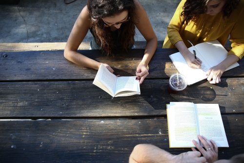 People studying outside