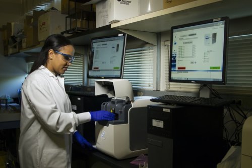 Learn about IT and its relationship to the medical field A medical professional running lab tests