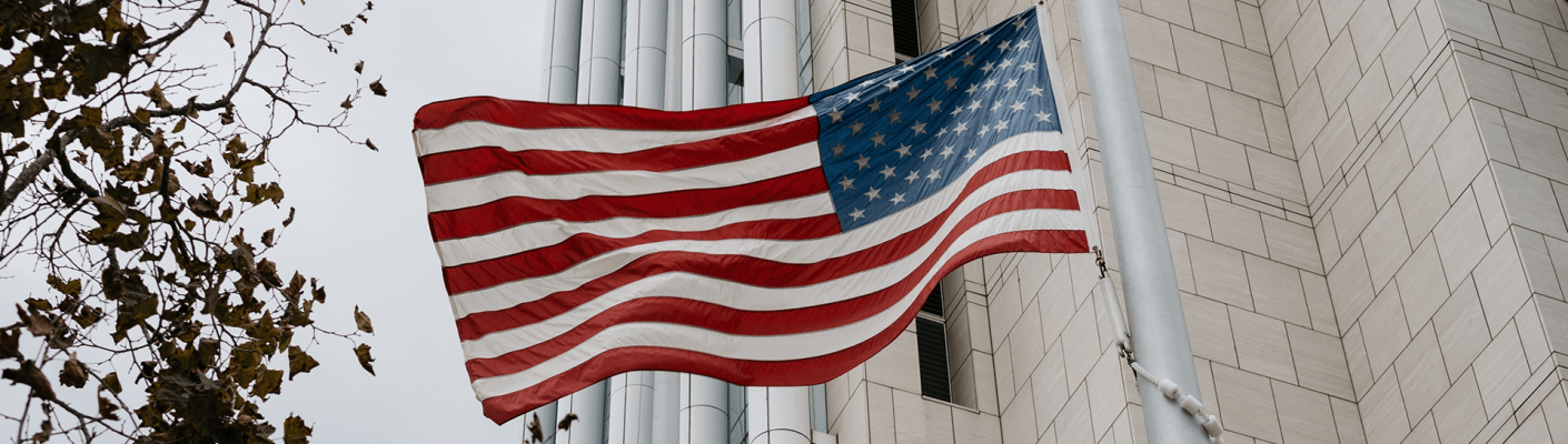American flag - Tulane School of Professional Advancement