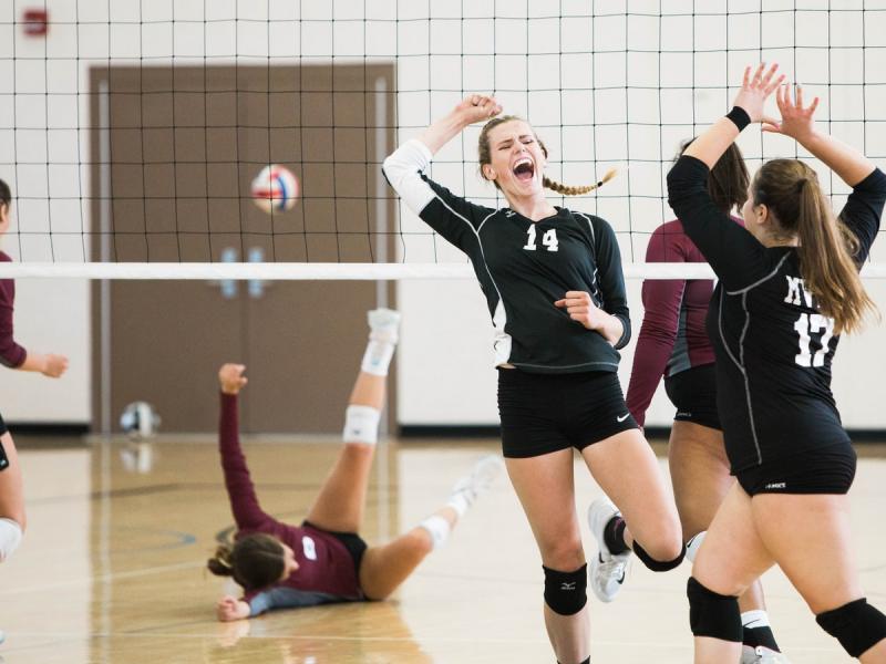 Volleyball players celebrate crushing the opposition
